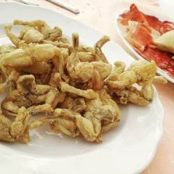 rane fritte