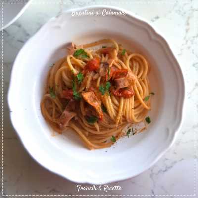 bucatini calamari