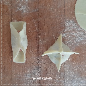 ravioli vapore dett2