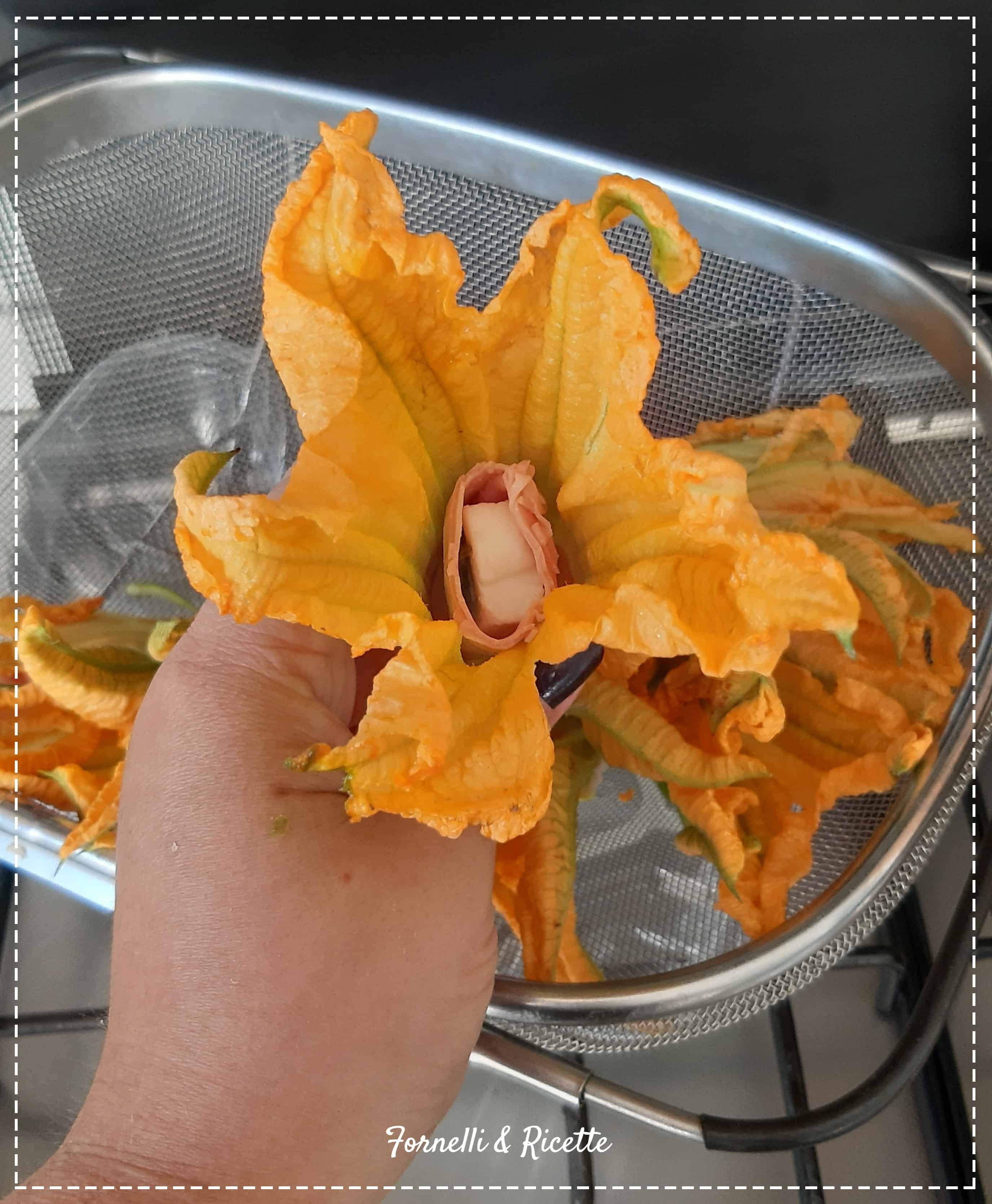 fiori zucca ripieni dett